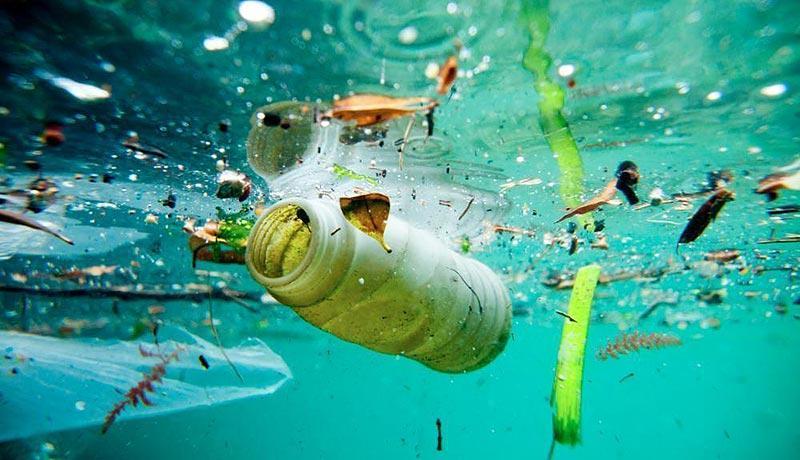 ¿Qué hacemos con la basura marina?