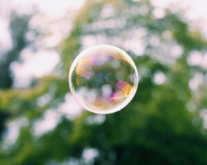 ¿Cómo se pasa de la codicia al miedo? Las burbujas especulativas