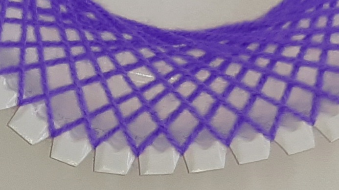 EL ÁMBITO DE LA CIENCIA. SIRENAS