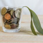 Crecimiento económico y medioambiente