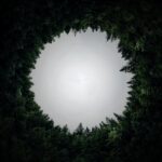 De la economía lineal a la economía circular