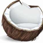 El coco y las frutas
