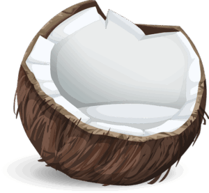 El coco y las frutas