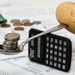 El salario medio de un ciudadano español: Elaboración de un presupuesto de una persona que se quiere independizar con el objetivo de poder ahorrar