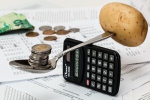 El salario medio de un ciudadano español: Elaboración de un presupuesto de una persona que se quiere independizar con el objetivo de poder ahorrar