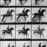 Inteligencias Múltiples 6A