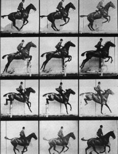 Inteligencias Múltiples 6A