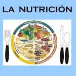 LA NUTRICIÓN