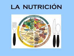 LA NUTRICIÓN