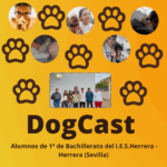 DogCast