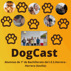 DogCast