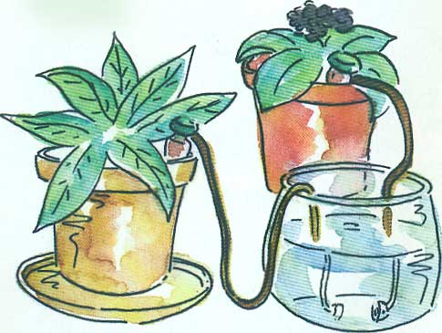 2018-03-09 Riego por goteo Alberto e Irene