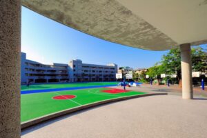Proyecto patios