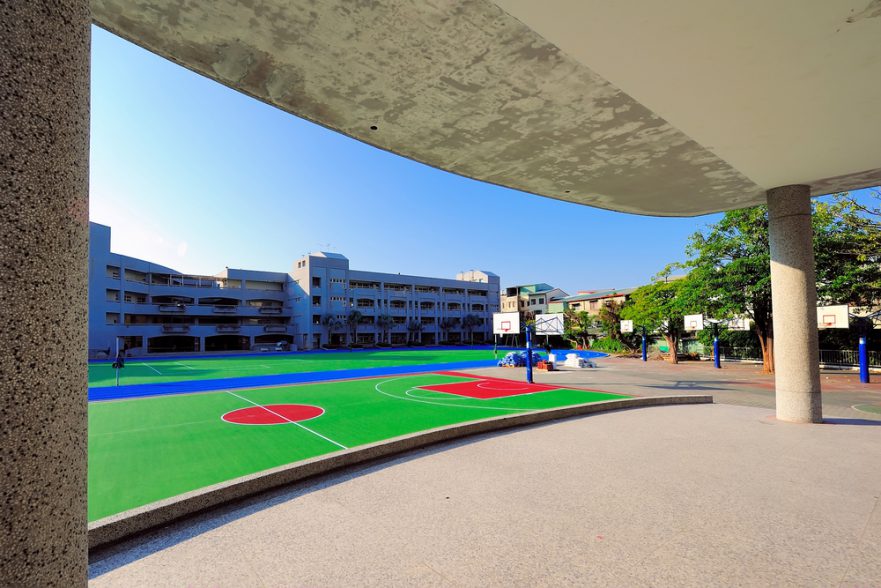 Proyecto patios