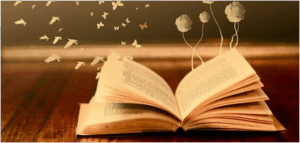Rincón Literario