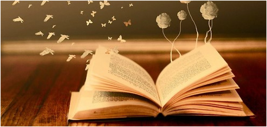 Rincón Literario