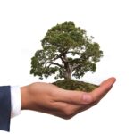 La responsabilidad social de las empresas: Los ámbitos de responsabilidad social