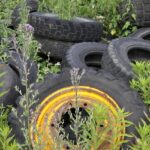 La responsabilidad medioambiental de las empresas. Ejemplos y análisis