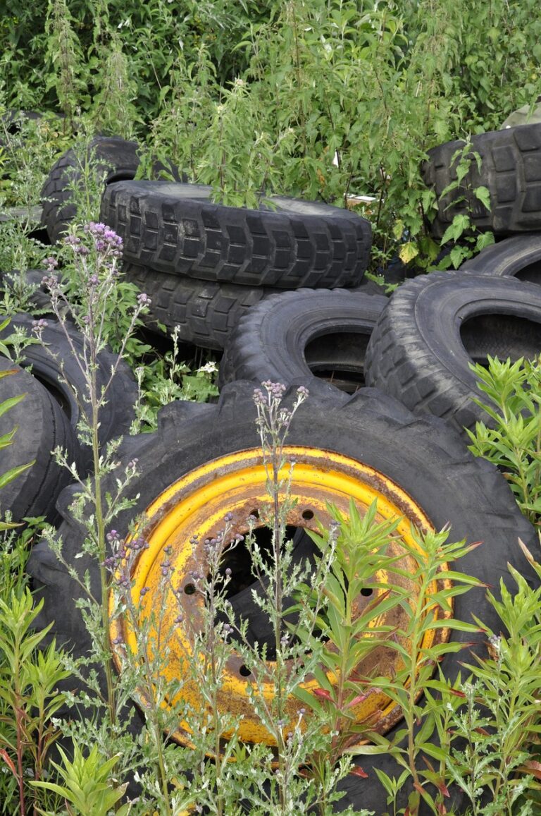 La responsabilidad medioambiental de las empresas. Ejemplos y análisis