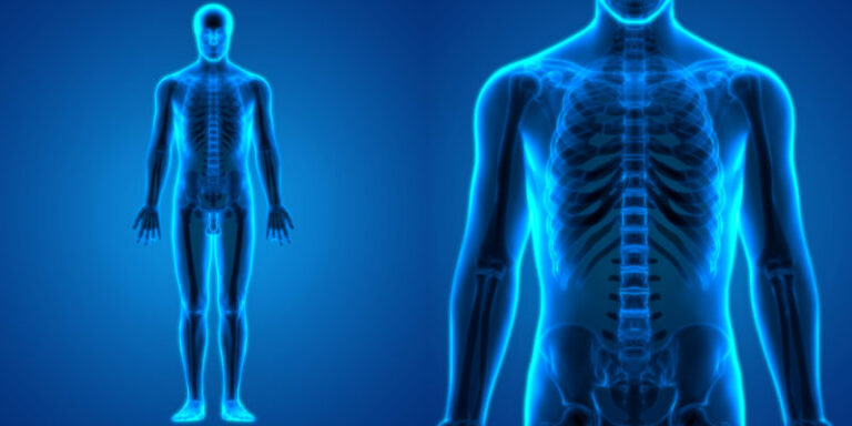 Hábitos Saludables: Mitos del aparato locomotor