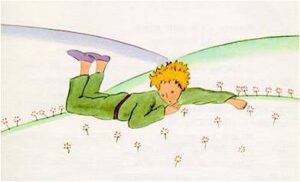 El Principito 4º Francés