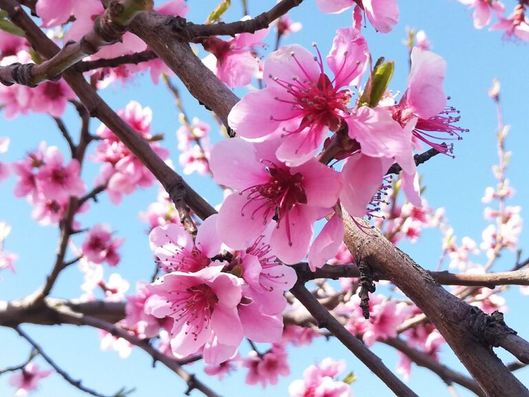 Cómo serenarse rápido.