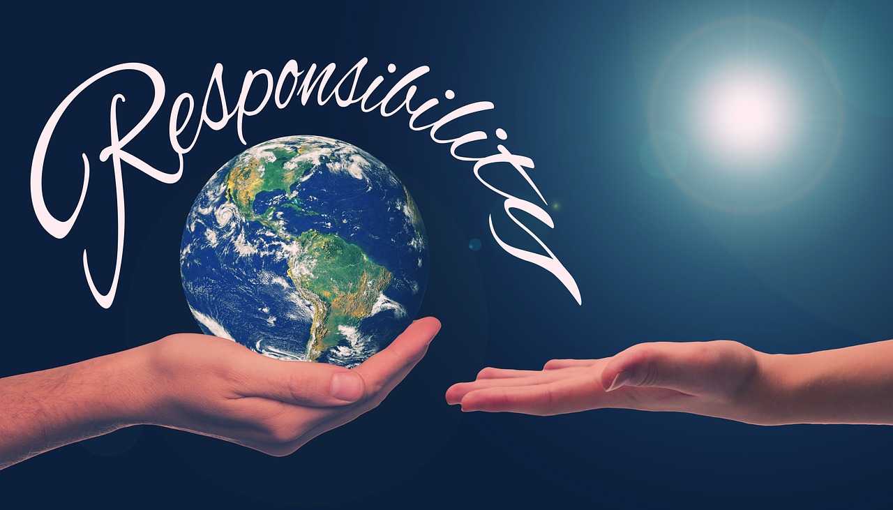 La responsabilidad social de las empresas