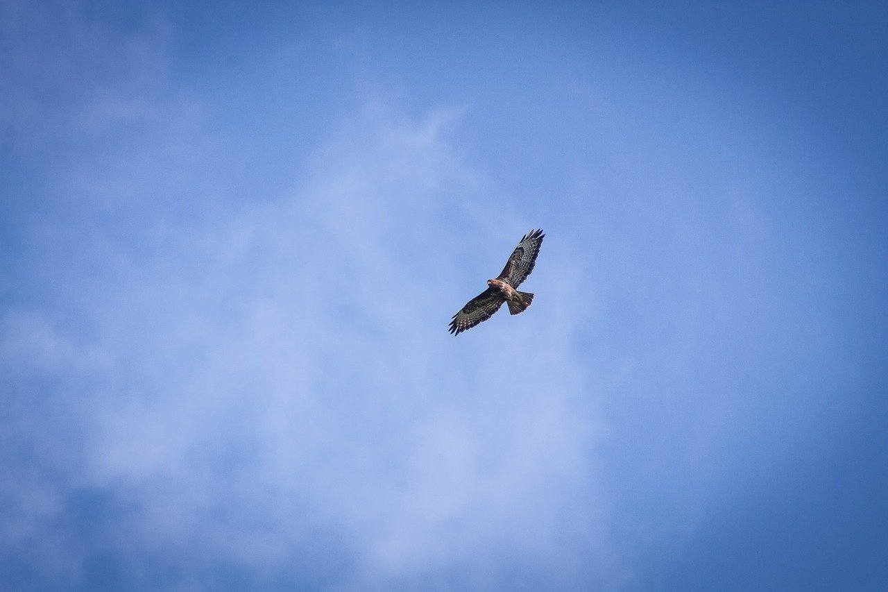El primer vuelo