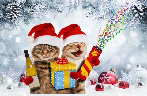 12/01/2021: Buenos Días 2EIC: Propósito de año nuevo