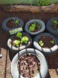 LA BIODIVERSIDAD DE MI HUERTO