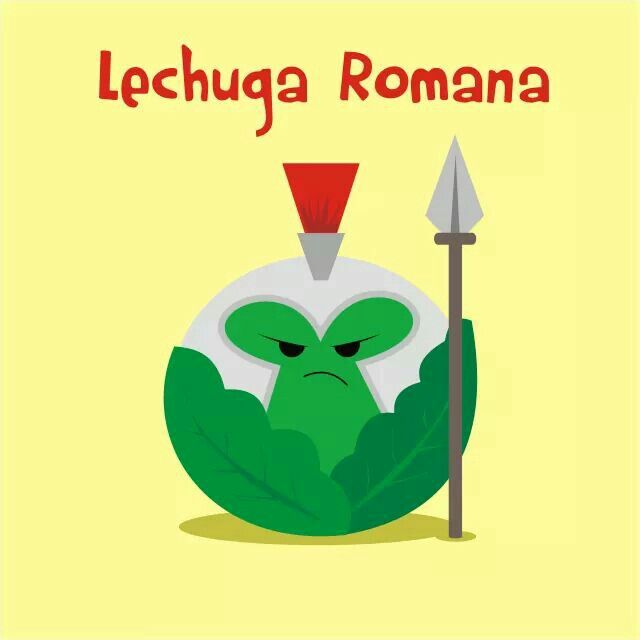 La Lechuga Romana