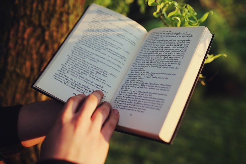 Día del Libro