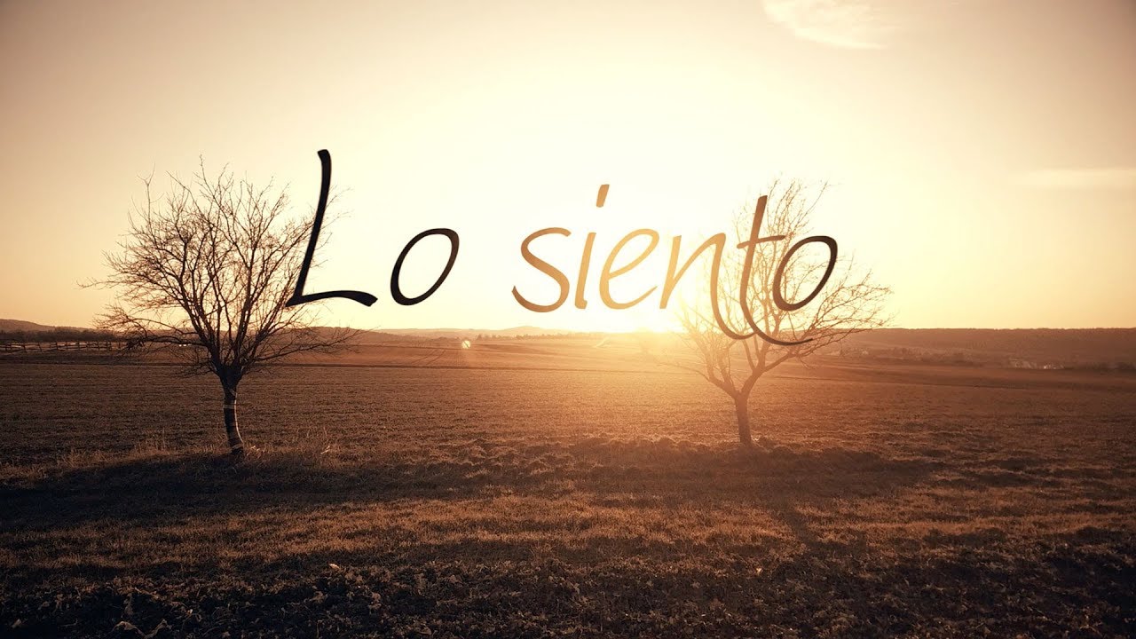 Lo siento
