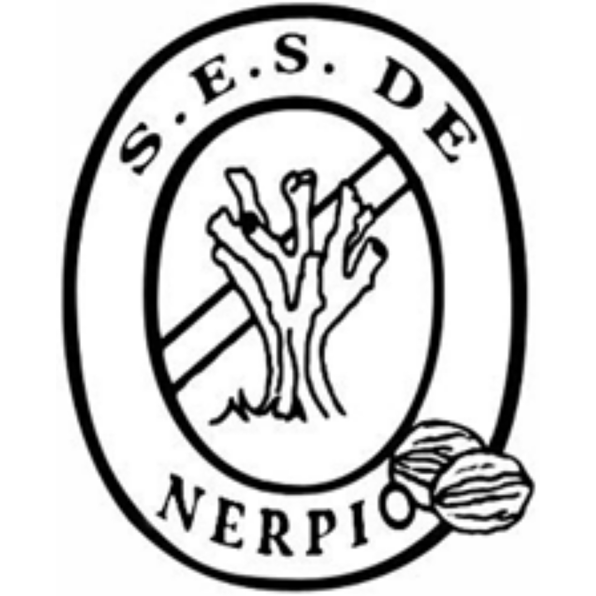 Cabecera radio Nerpio en las Ondas
