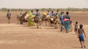 Los flujos migratorios y sus implicaciones socioeconómicas