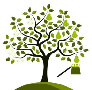 Ese Árbol es mío