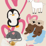 Animales curiosos