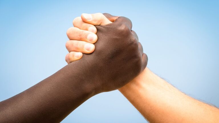 Poème a mon frère blanc