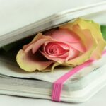 Festejamos el Día de la Poesía parte II.