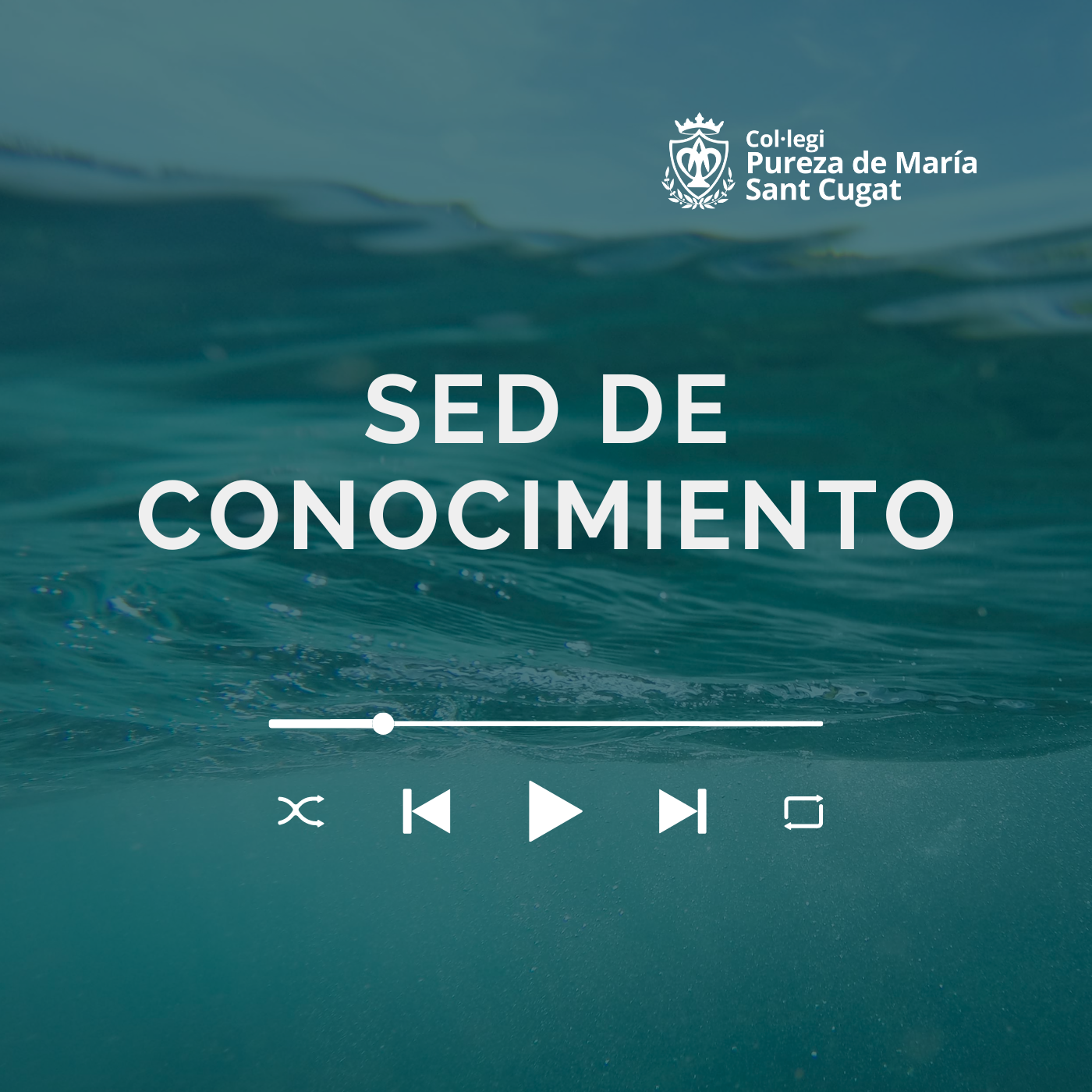 Sed de conocimiento
