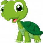 CUENTO: La Tortuga Magdalena -1ºC PRIMARIA