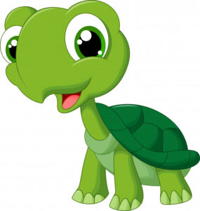 CUENTO: La Tortuga Magdalena -1ºC PRIMARIA
