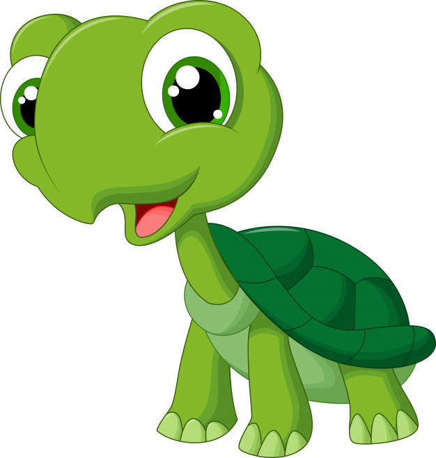 CUENTO: La Tortuga Magdalena -1ºC PRIMARIA