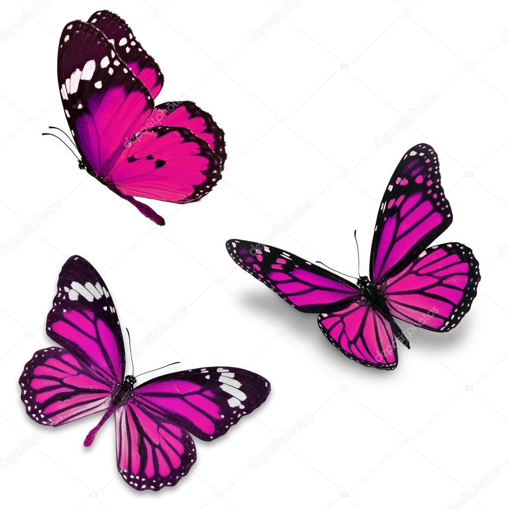 Radio-cuento las tres mariposas