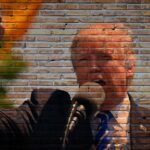 Las medidas proteccionistas: las medidas proteccionistas de Donald Trump en EE.UU