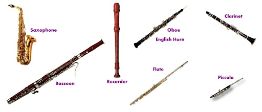 Woodwind family