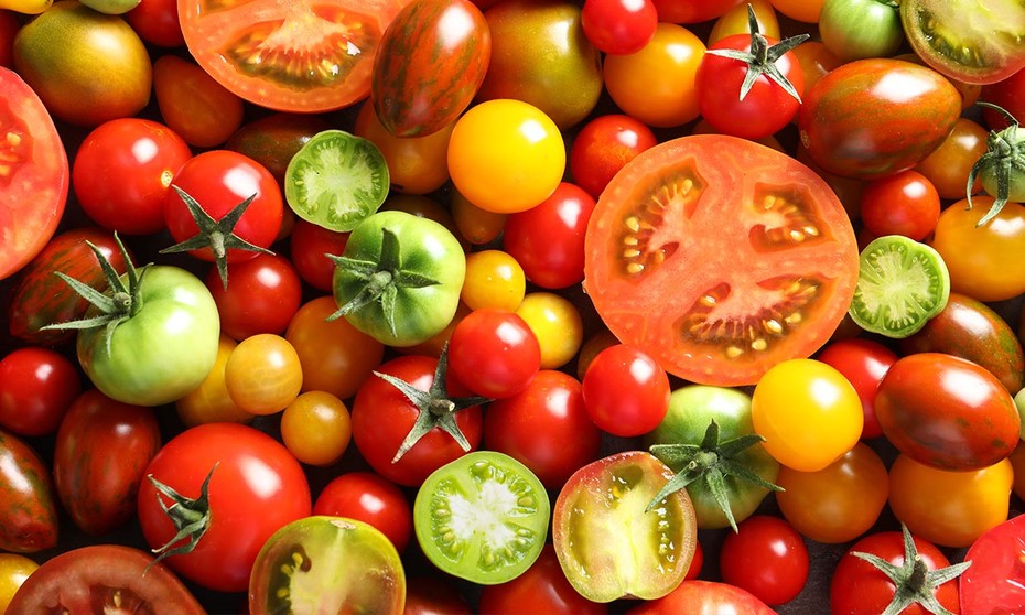 El tomate-6º de Primaria- Hispanidad