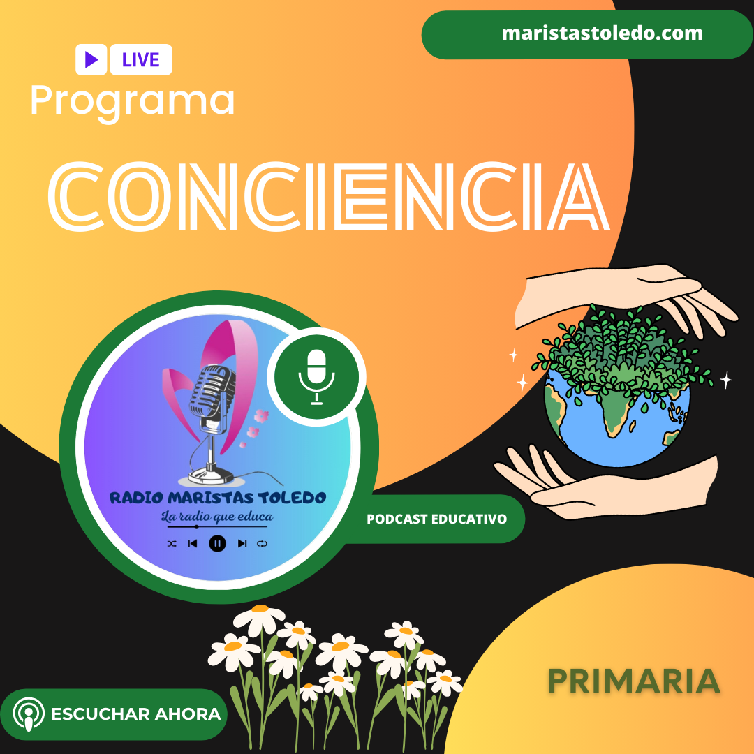 15 Conciencia - Procesos geológicos externos