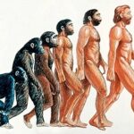 Escuchar podcast First Love: citas prehistóricas