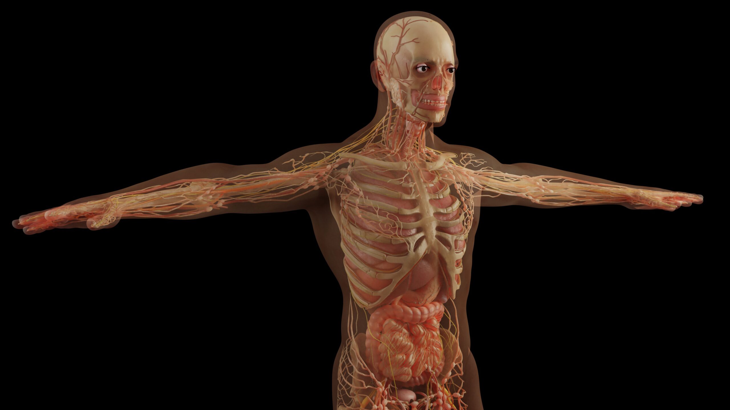 Escuchar podcast Primundo Luna: El cuerpo humano